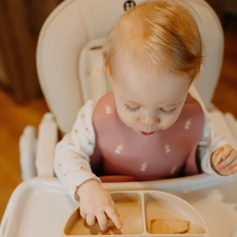 Petite&Mars, Princesses, Take&Match, silikonowy śliniak, Dusty Rose, 6m+