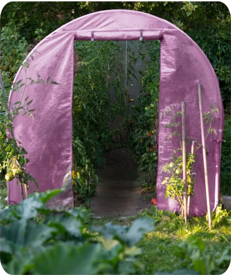 Plonos, tunel ogrodowy, 2-3 m, 6 m², różowy