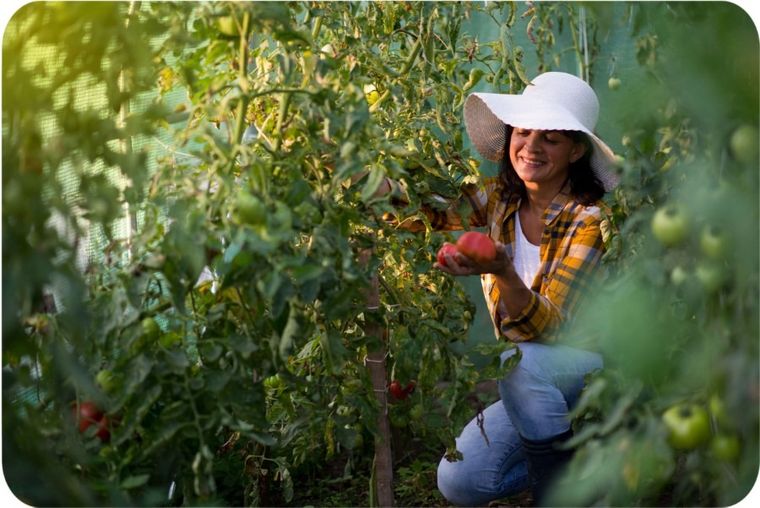 Plonos, tunel ogrodowy, 2-4,5 m, 9 m2, biały