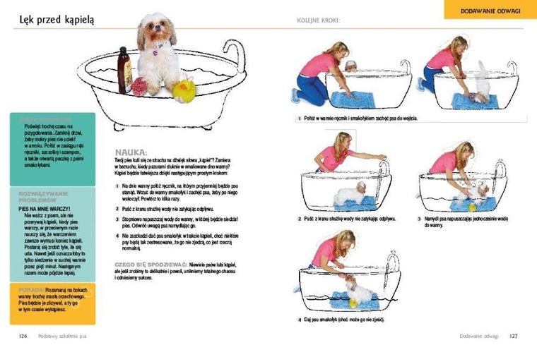 Podstawy szkolenia psa