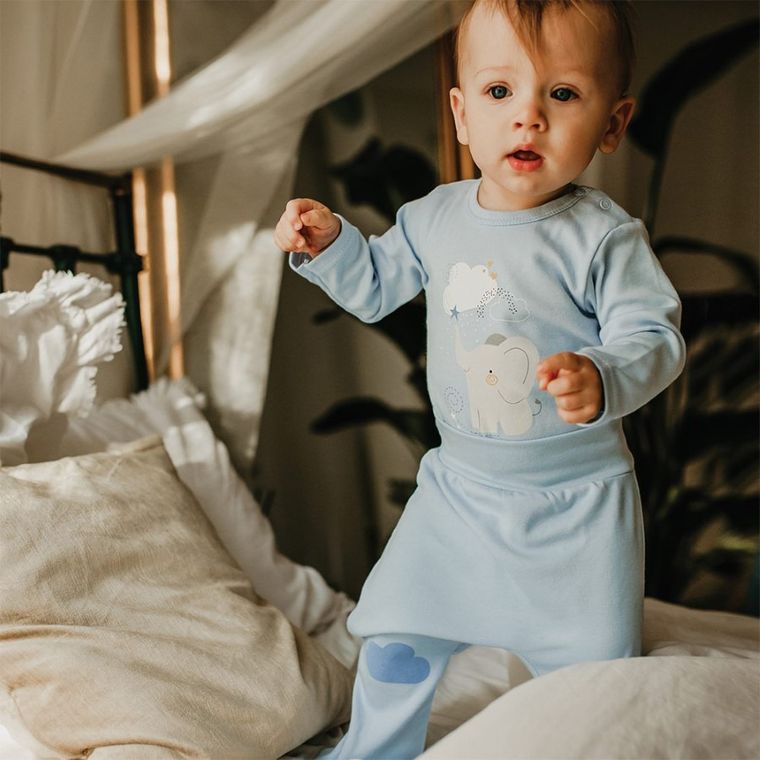 Półśpiochy chłopięce, niebieskie, Eevi