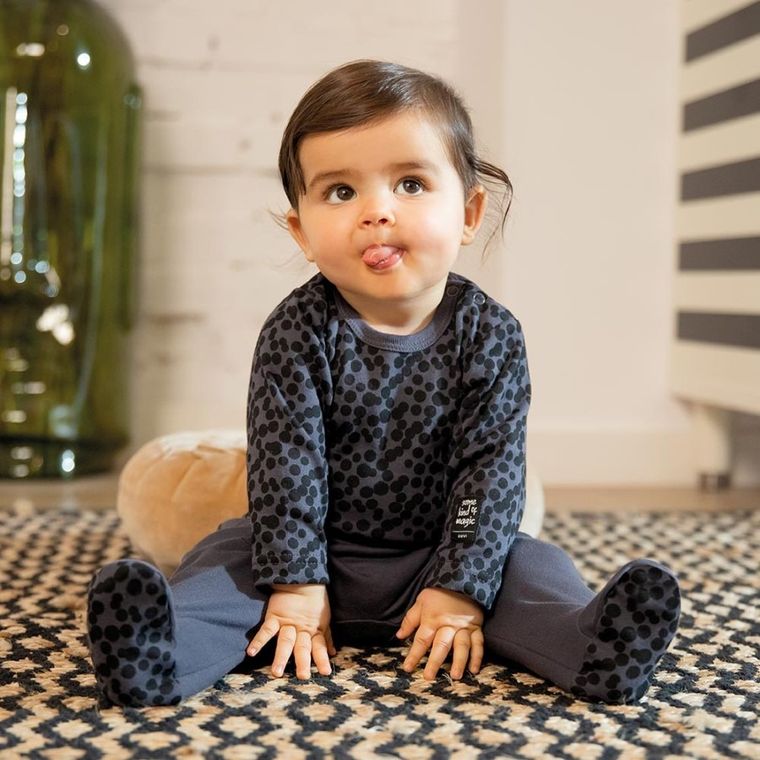 Półśpiochy niemowlęce, ciemnoszare, Eevi