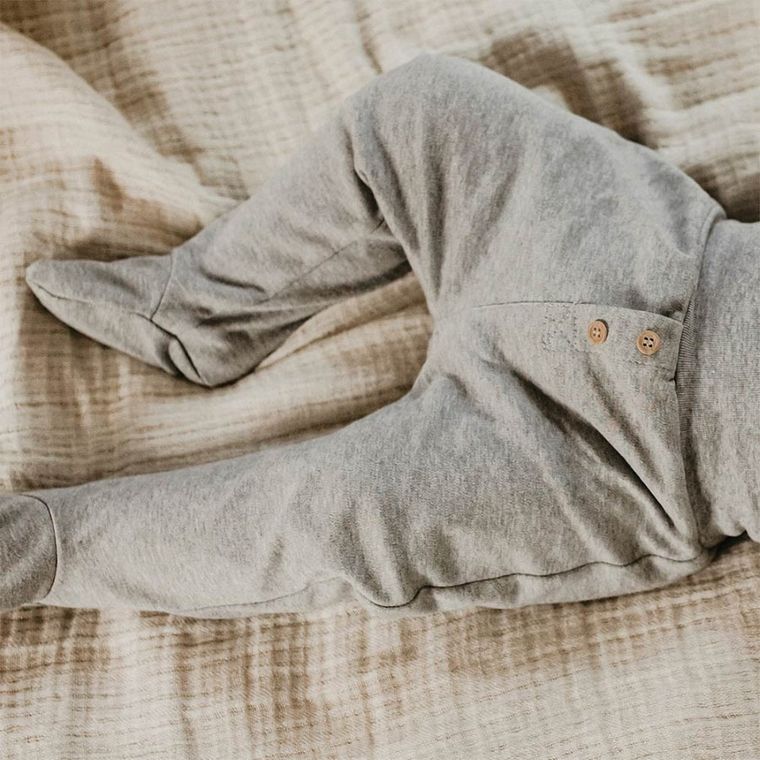 Półśpiochy niemowlęce, szare, Eevi