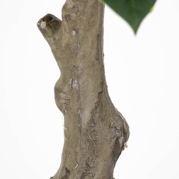 Present Time, sztuczna roślina, drzewko kauczukowe, 69 cm