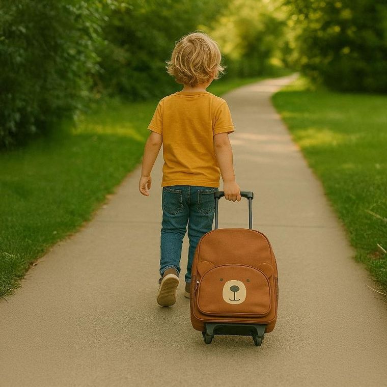 Proworld, walizeczka dla dzieci z wyciąganą rączką, 29-12-40 cm