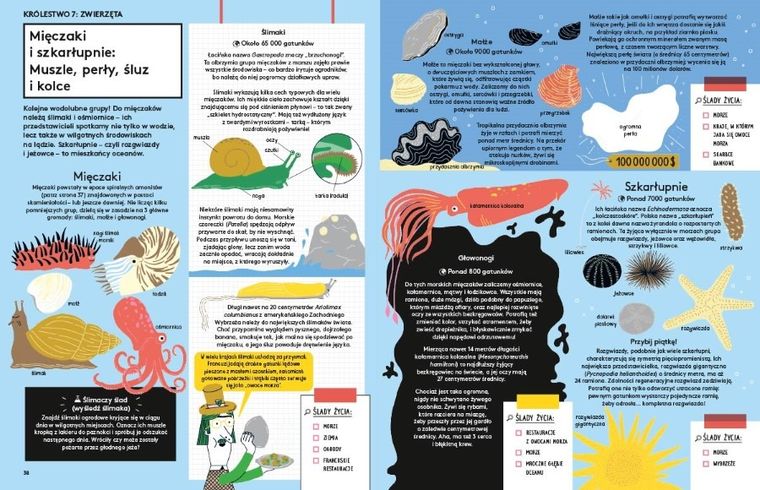 Przyroda jest wszędzie! Śledztwo w sprawie organizmów wokół ciebie (i w tobie)