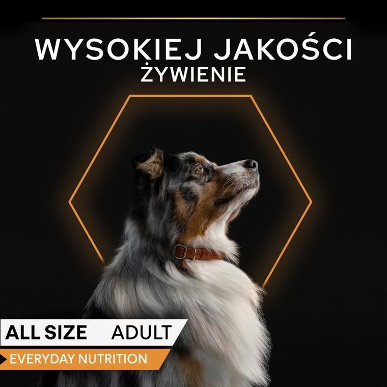 Purina, Pro Plan, Ryba w galarecie, mokra karma dla psów dorosłych, 400g