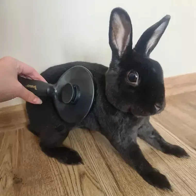 Purlov, szczotka do sierści samoczyszcząca