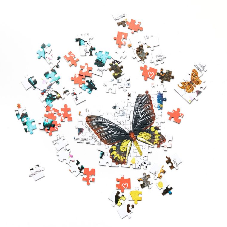 Puzzlove, CzuCzu, Motyle, puzzle, 1000 elementów