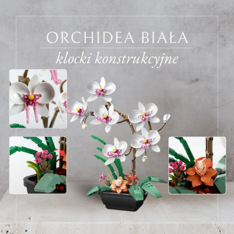 QBI, Orchidea biała, klocki konstrukcyjne, 581 elementów