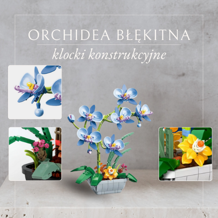 QBI, Orchidea błękitna, klocki konstrukcyjne, 581 elementów