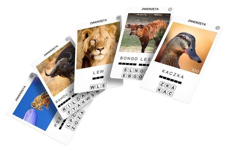 Rebel, 100 Pics: Zwierzęta, gra edukacyjna