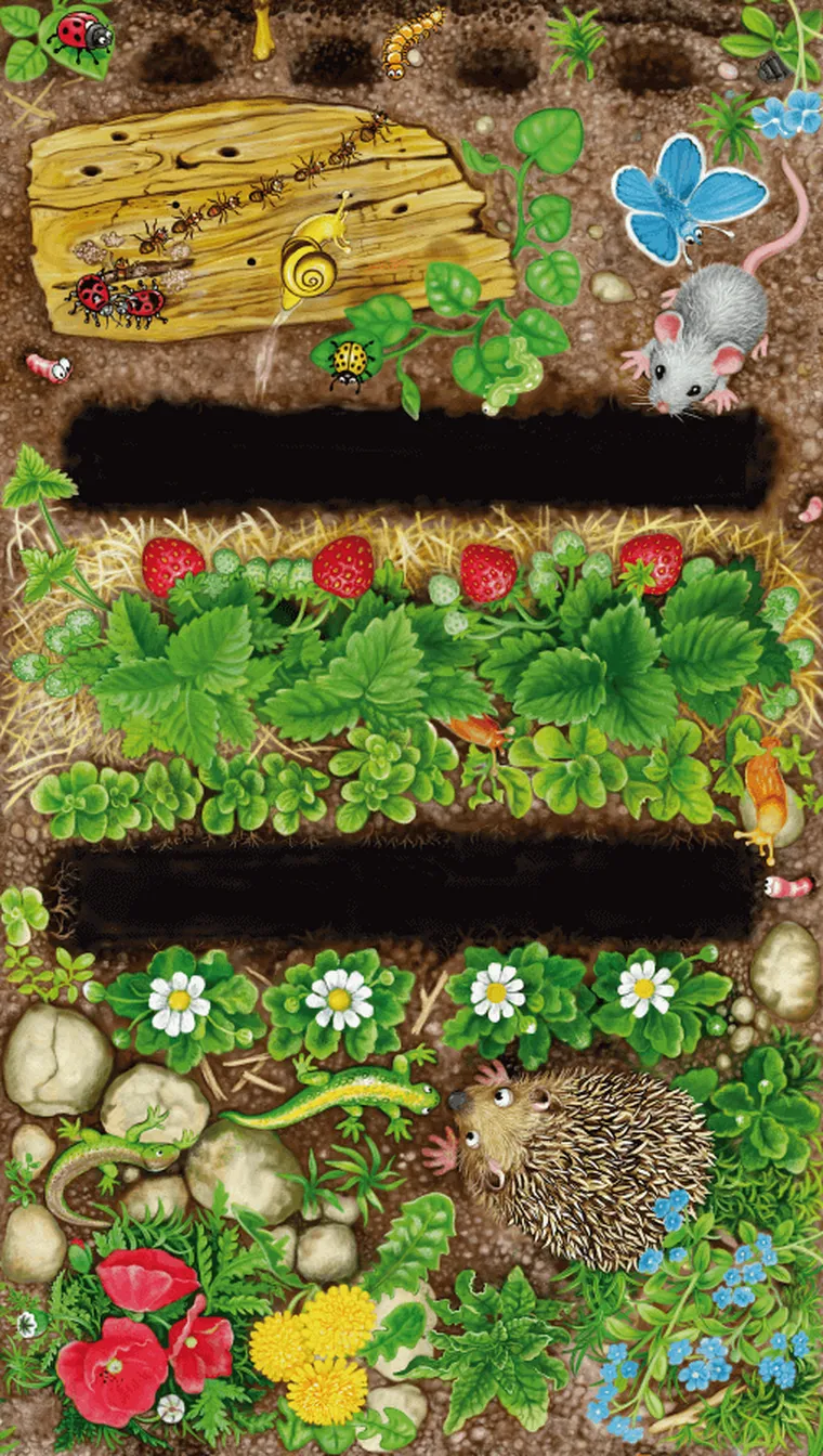 Rebel, Gnaj, robaczku! gra familijna