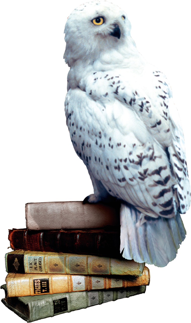 Rebel, Harry Potter i Czytacz Myśli, elektroniczna zgadywanka