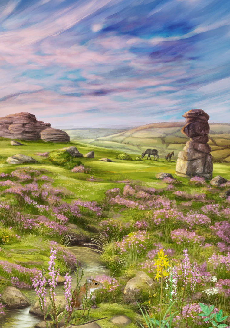 Rebel, Leśne rozdanie: Dartmoor, gra strategiczna