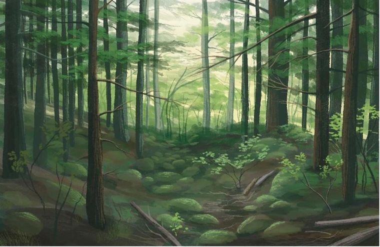 Rebel, Leśne rozdanie, gra strategiczna