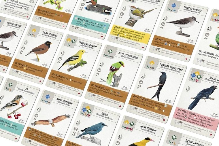 Rebel, Na skrzydłach: Ptaki Azji, gra ekonomiczna