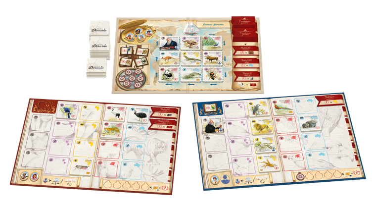 Rebel, Śladami Darwina, gra familijna