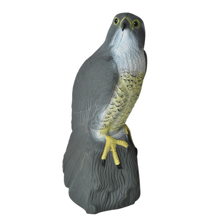 Repest, odstraszacz ptaków, sokół