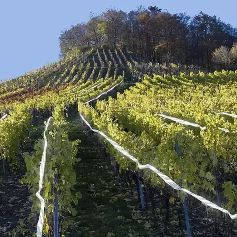 Repest, odstraszacz ptaków, taśma, 80 m