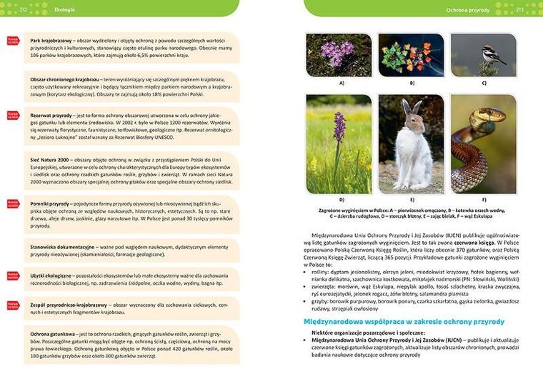 Repetytorium. Liceum/technikum. Biologia 2026