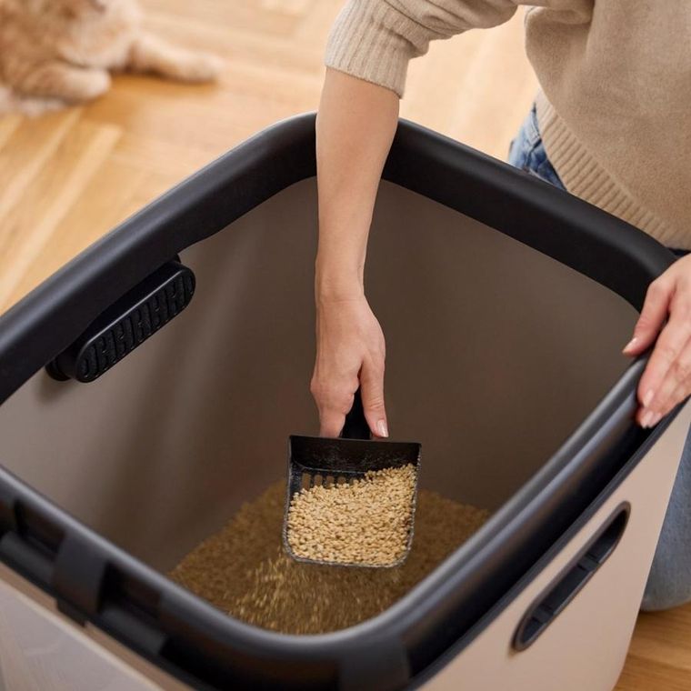 Rotho, kuweta, kawa, rozmiar XL