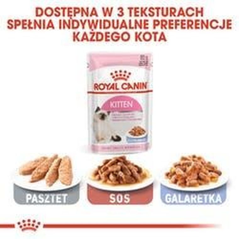 Royal Canin, Cat Kitten Food Jelly Pouch, karma mokra dla kota, 12 x 85g
