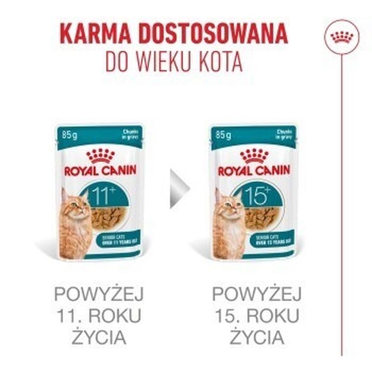 Royal Canin, FHN Cat Ageing 11+, mokra karma dla kotów dojrzałych, 12-85g