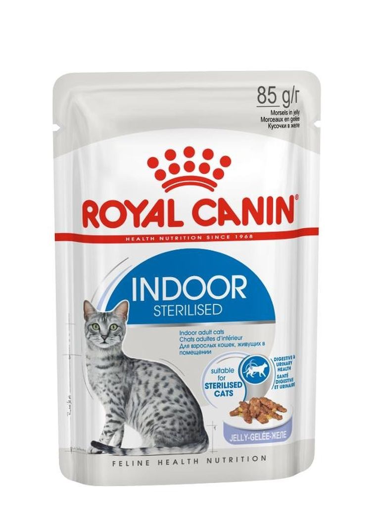 Royal Canin, Fhn indoor w galaretce, mokra karma dla kota dorosłego, 12-85g