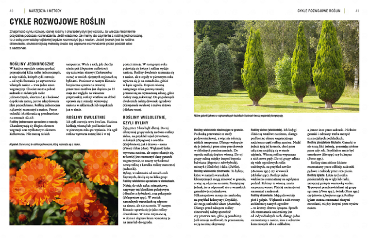 Rozmnażanie roślin. Przewodnik krok po kroku