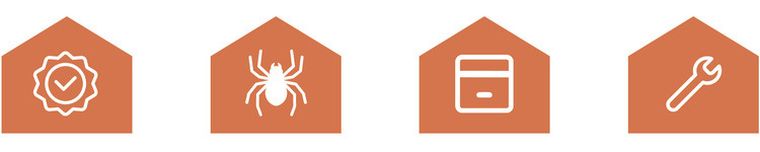 Ruhhy, pająk, dekoracja, 50 cm