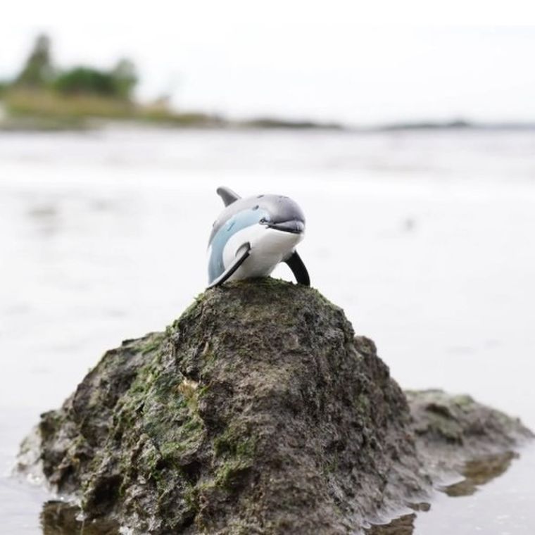 Safari Ltd, figurka, delfin białoboki atlantycki