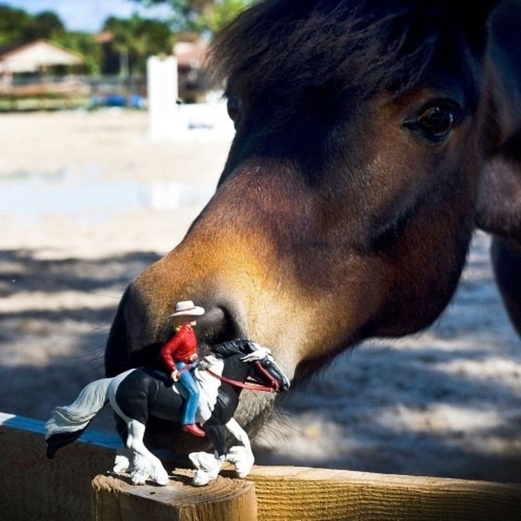 Safari Ltd, figurka, jeździec Audrey na koniu Streaming Light