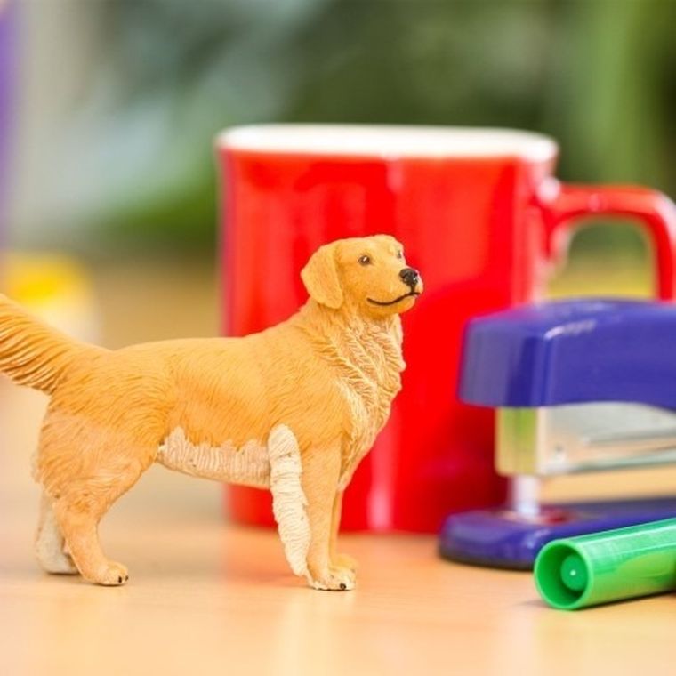 Safari Ltd, figurka, pies golden retriever