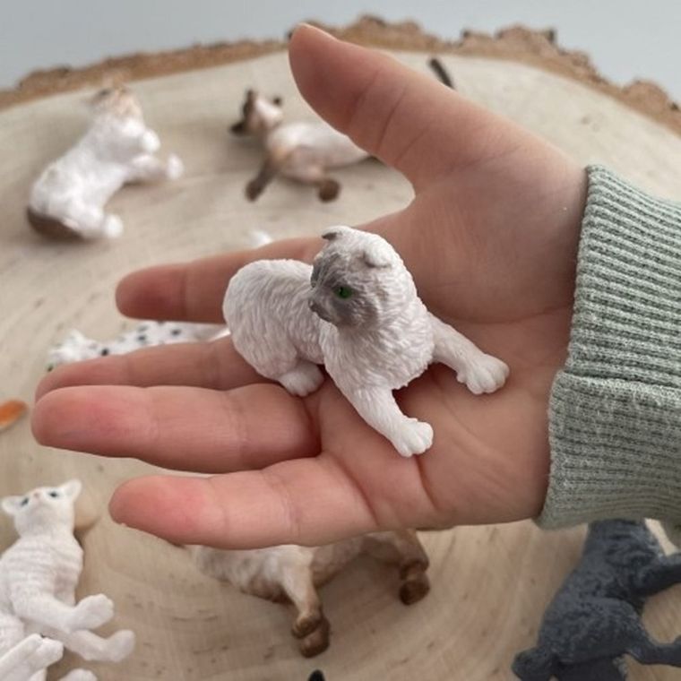 Safari Ltd, Toob, zestaw figurek, koty domowe