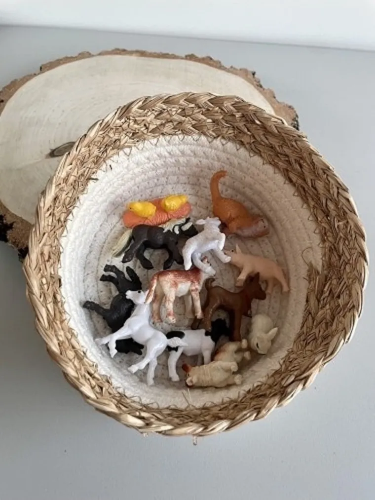 Safari Ltd, Toob, zestaw figurek, małe zwierzątka na wsi