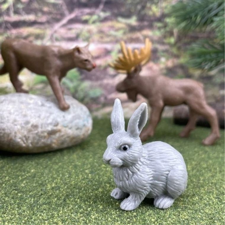Safari Ltd, Toob, zestaw figurek, mieszkańcy lasu