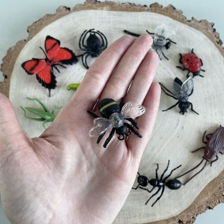 Safari Ltd, Toob, zestaw figurek, owady