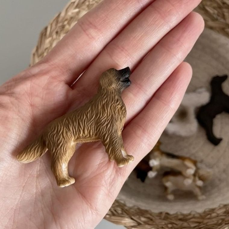 Safari Ltd, Toob, zestaw figurek, psy