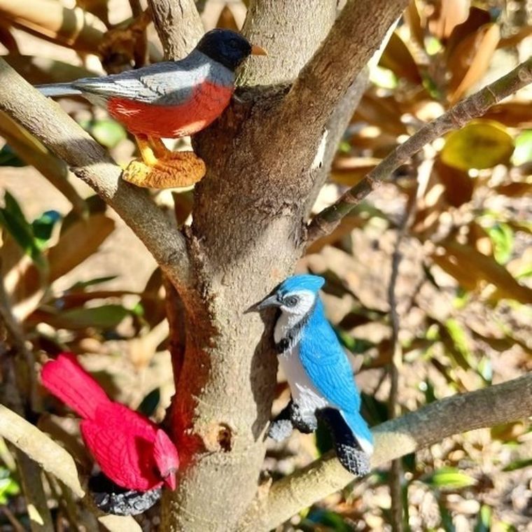 Safari Ltd, Toob, zestaw figurek, ptaki ogrodowe