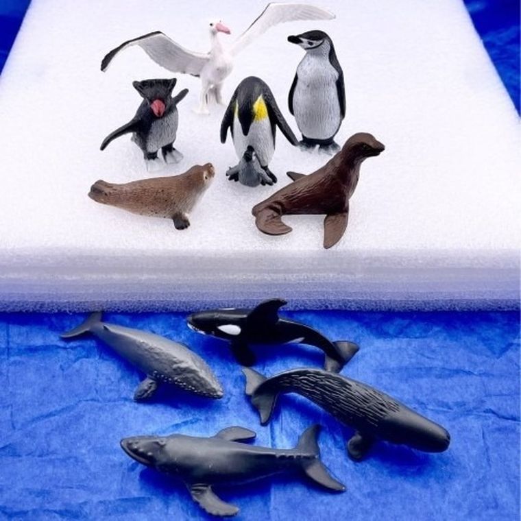 Safari Ltd, Toob, zestaw figurek, zwierzęta antarktydy