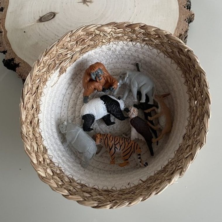 Safari Ltd, Toob, zestaw figurek, zwierzęta azji