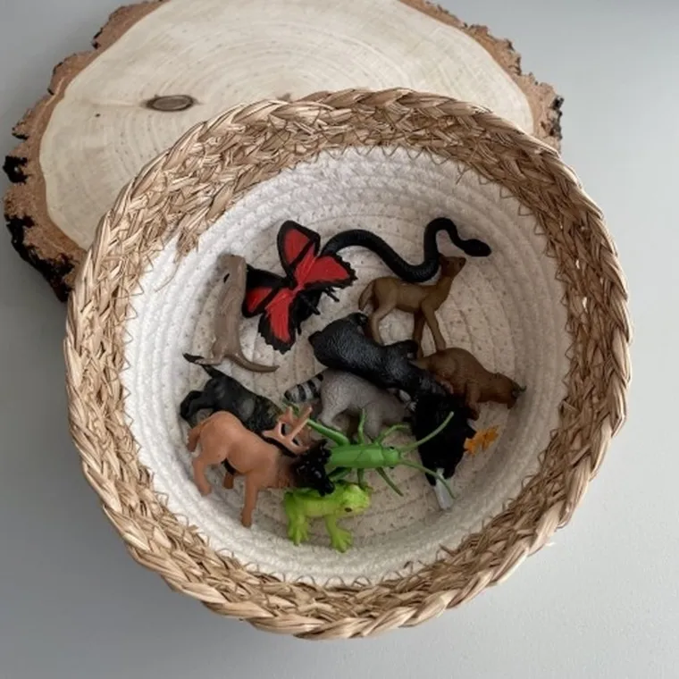 Safari Ltd, Toob, zestaw figurek, zwierzęta leśne