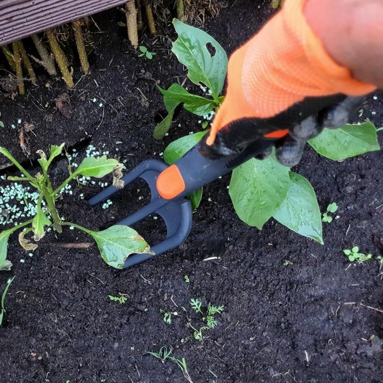 Saska Garden, widełki ogrodowe do spulchniania