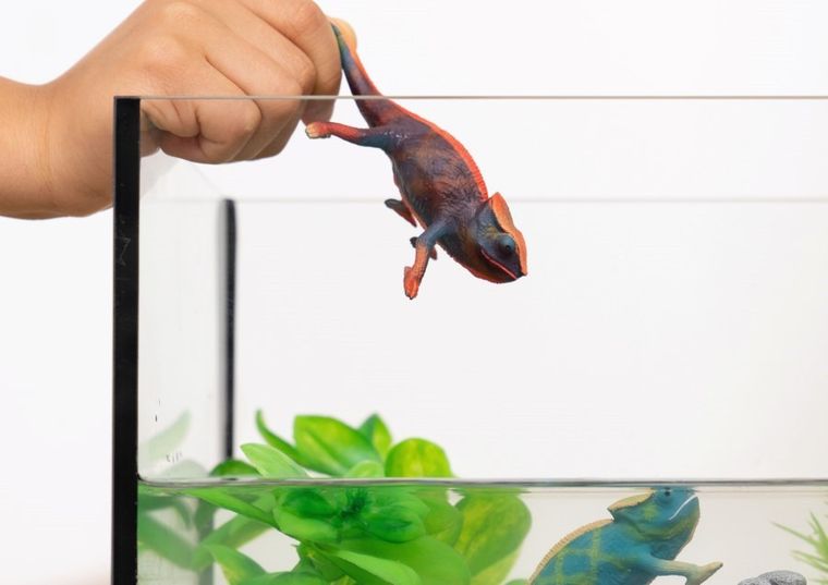 Schleich, Wild Life, Kameleon, figurka, 14858