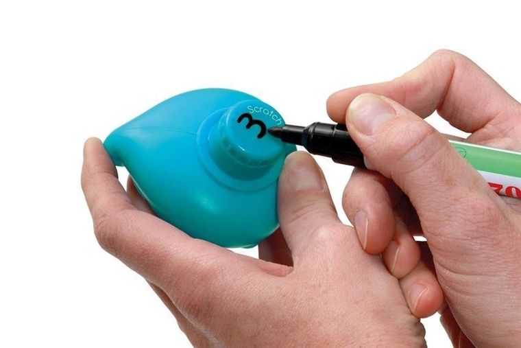 Scratch, Łowimy kaczuszki koralowe, gra