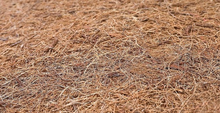 Sensillo, materac, gryka-pianka-kokos, 140-70-11 cm