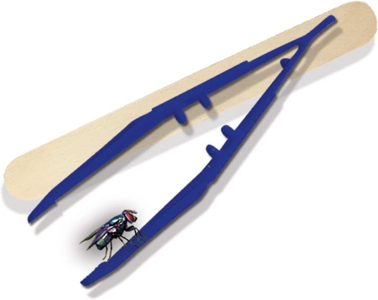 SES Creative, Odkrywca owadów, zestaw kreatywny