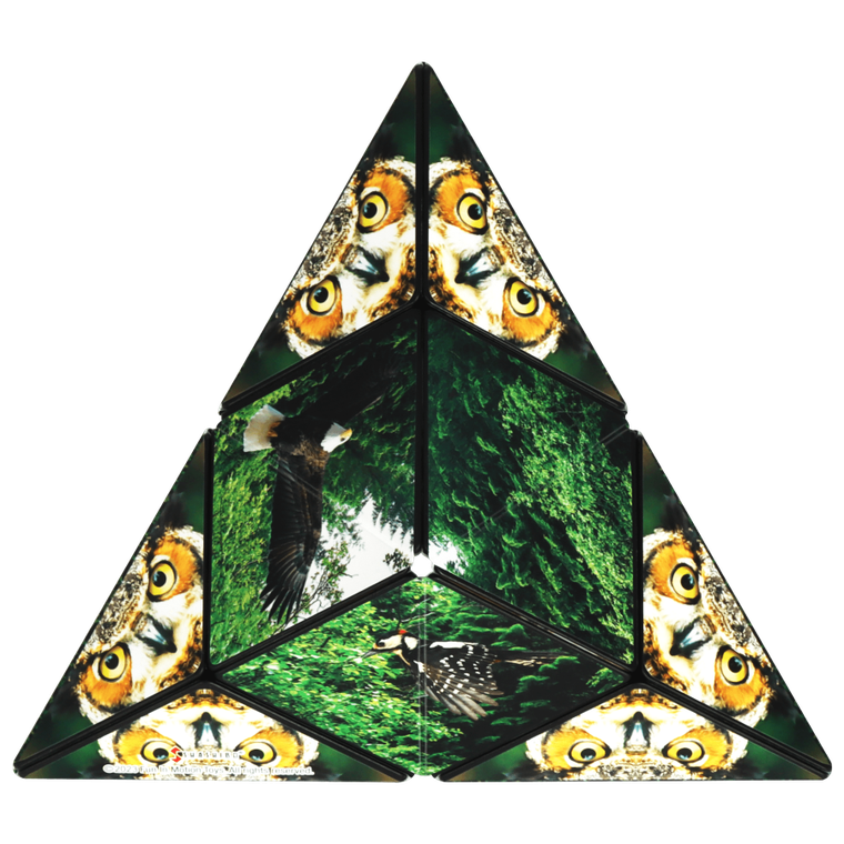 Shashibo, kostka magnetyczna, łamigłówka, Forest