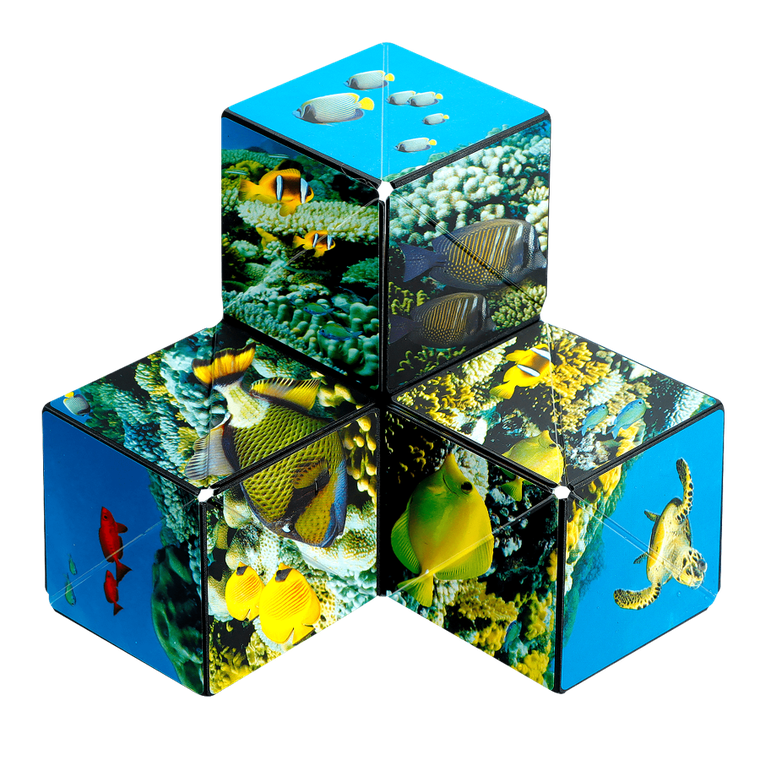 Shashibo, kostka magnetyczna, łamigłówka, Undersea